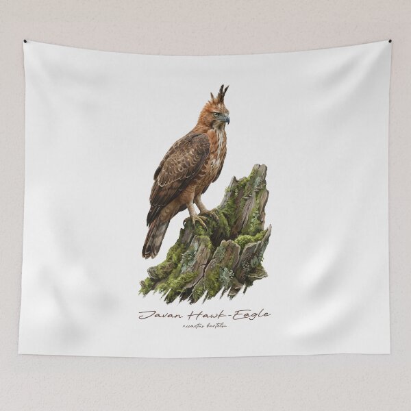 Item preview, Javan Hawk-Eagle on Mossy Stump designed and sold by Takeda-art.