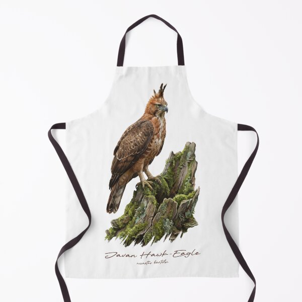 Item preview, Javan Hawk-Eagle on Mossy Stump designed and sold by Takeda-art.