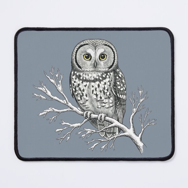 Item preview, Tengmalm Owl Perched on a Frosted Winter Branch Bird Illustration  designed and sold by BirdsnStuff.