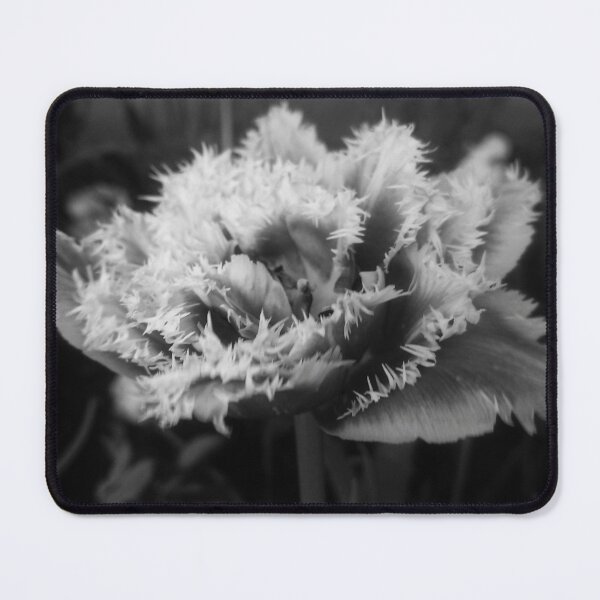 Item preview, A beautiful monochrome tulip close up  designed and sold by Enerjetal.