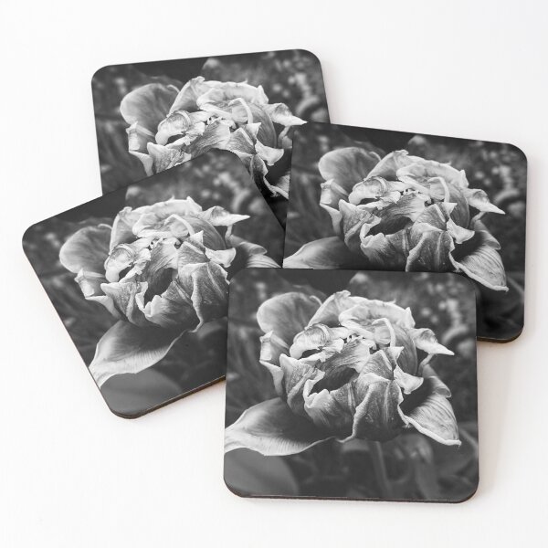 Item preview, A monochrome peony tulip close up  designed and sold by Enerjetal.
