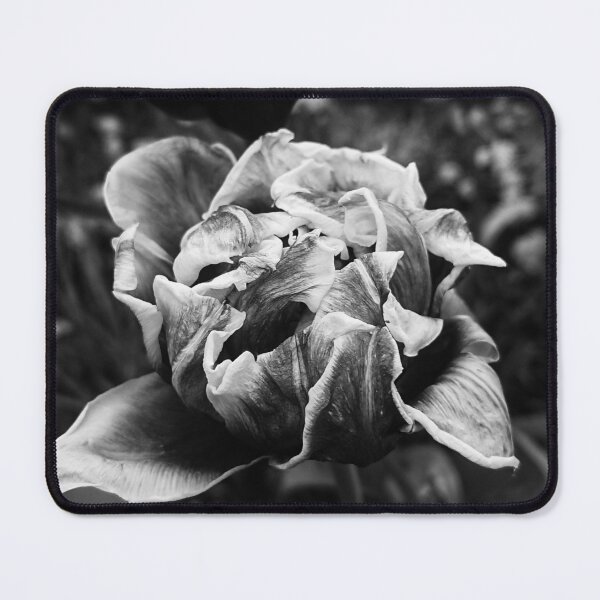 Item preview, A monochrome peony tulip close up designed and sold by Enerjetal.