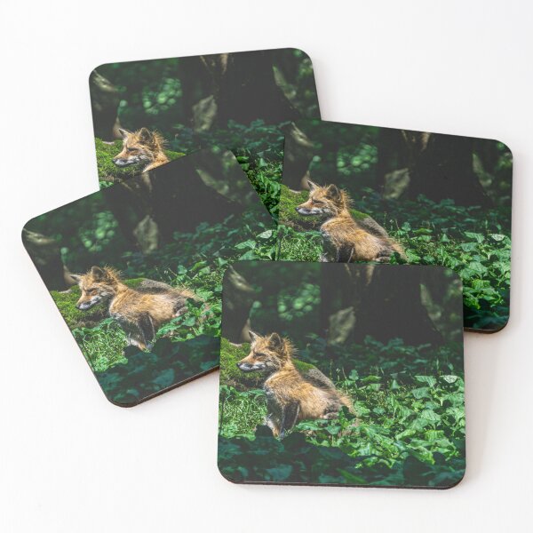 Item preview, Cute fox cub on a discovery tour designed and sold by Senol.