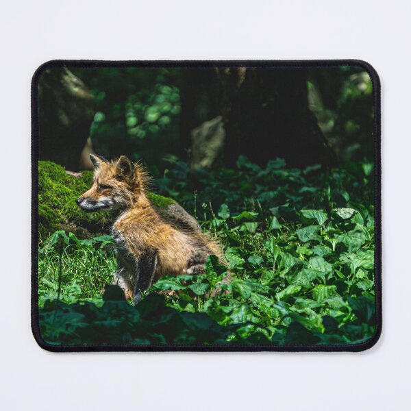 Item preview, Cute fox cub on a discovery tour designed and sold by Senol.
