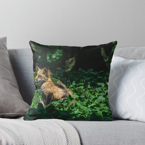 Item preview, Cute fox cub on a discovery tour designed and sold by Senol.