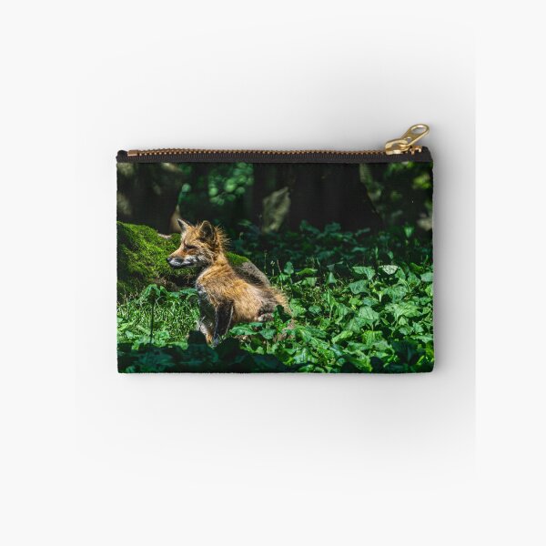 Item preview, Cute fox cub on a discovery tour designed and sold by Senol.