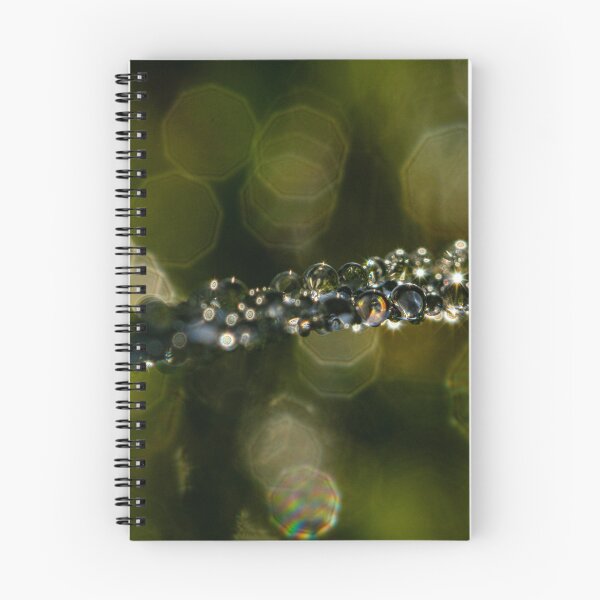 Item preview, Diamond Dew - Abstract Macro Nature Fine Art Photography, United Kingdom designed and sold by Johnathan Robinson Photography.