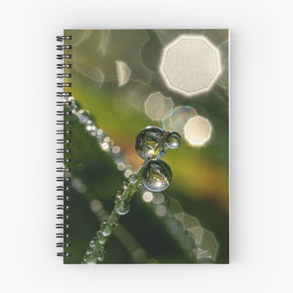 Item preview, World in a Droplet - Abstract Dew Macro Fine Art Photography, United Kingdom designed and sold by Johnathan Robinson Photography.