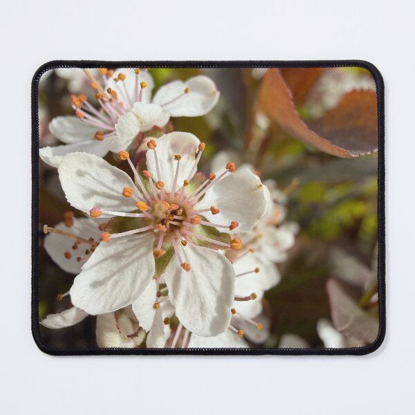 Item preview, Simple Blooms designed and sold by Betsy Phillips.