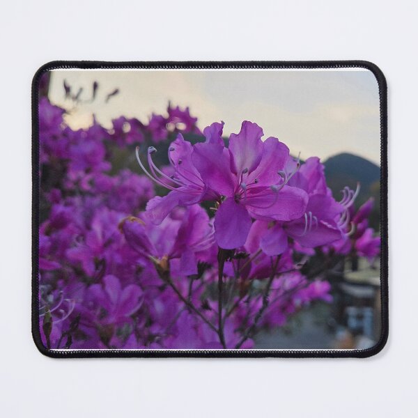 Item preview, Beautiful pink flower designed and sold by Dynasticnow.