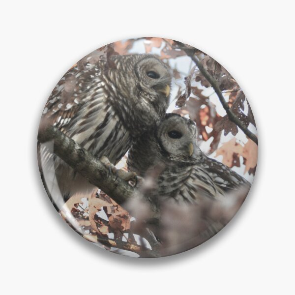 Item preview, owl neighbors 1 designed and sold by photographic contemplations.