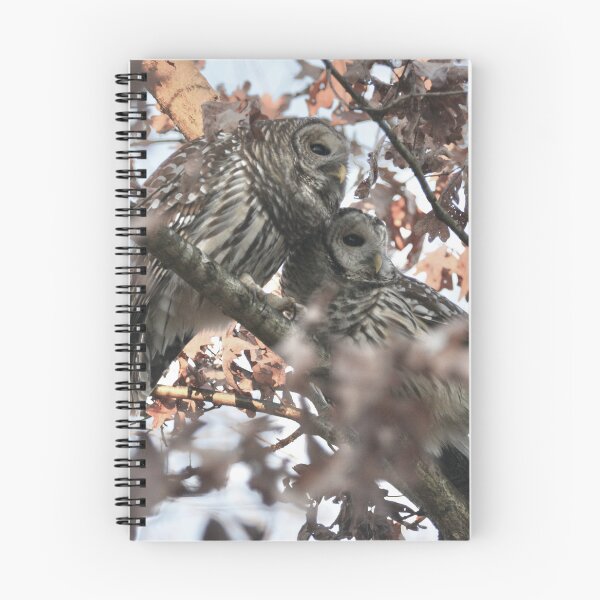 Item preview, owl neighbors 1 designed and sold by photographic contemplations.