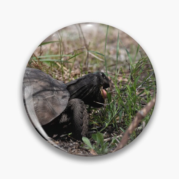 Item preview, Hungry Gopher Tortoise designed and sold by LochSquatch Creations.