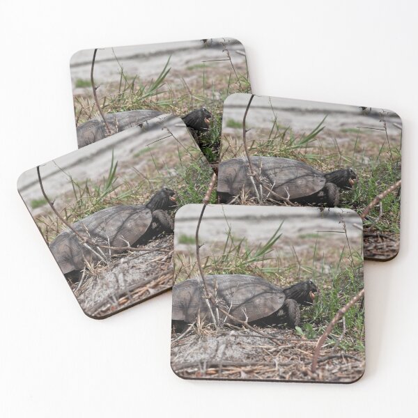 Item preview, Hungry Gopher Tortoise designed and sold by LochSquatch Creations.