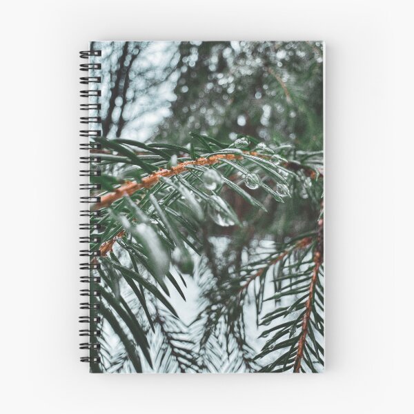 Aperçu de l'œuvre Branche d'arbre avec des gouttelettes d'eau créée et vendue par foxpaull.