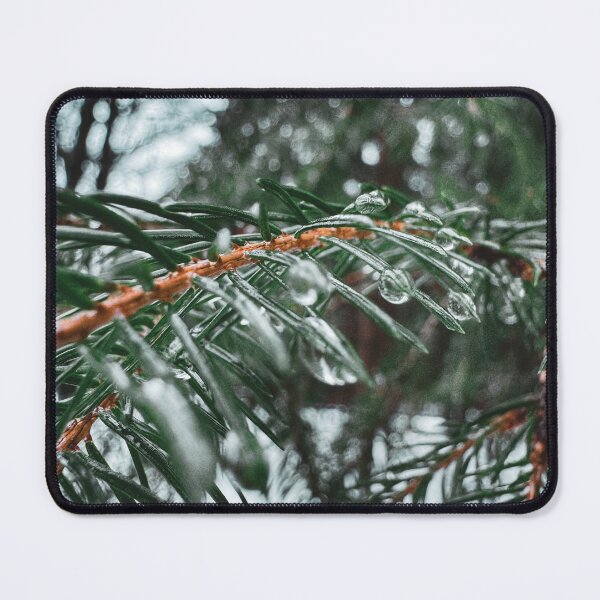 Item preview, Tree branch with water droplets designed and sold by foxpaull.