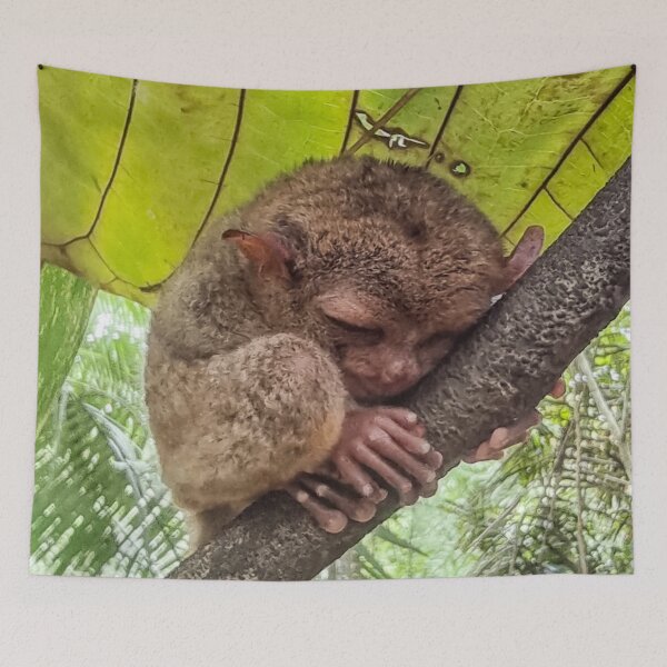 Item preview, Bohol Tarsier - World's Smallest Primate | Cute Philippines Wildlife & Nature Art designed and sold by Ross.A.Campbell.