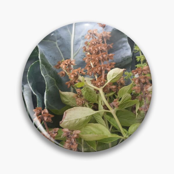 Item preview, Autumn Garden Nature Photography designed and sold by AndaBast.