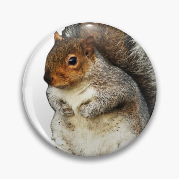 Item preview, Grey squirrel  designed and sold by Kerrie-Ann Ellison.