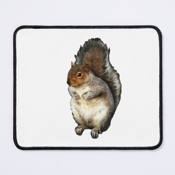 Item preview, Grey squirrel designed and sold by Kerrie-Ann Ellison.