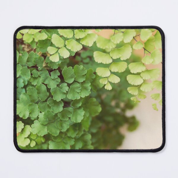 Item preview, Maidenhair Queen designed and sold by Debra Cox.