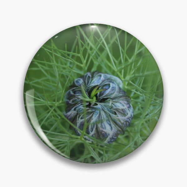 Item preview, Nigella bud before the bloom - Soft nature photography designed and sold by Cha-s-lens.