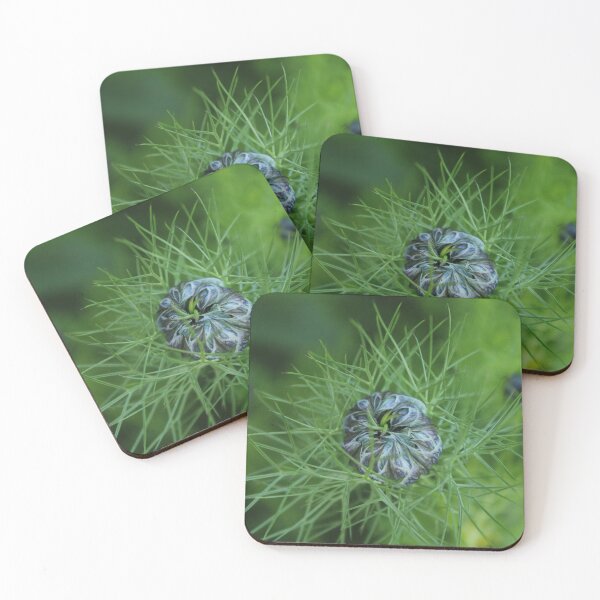 Item preview, Nigella bud before the bloom - Soft nature photography designed and sold by Cha-s-lens.