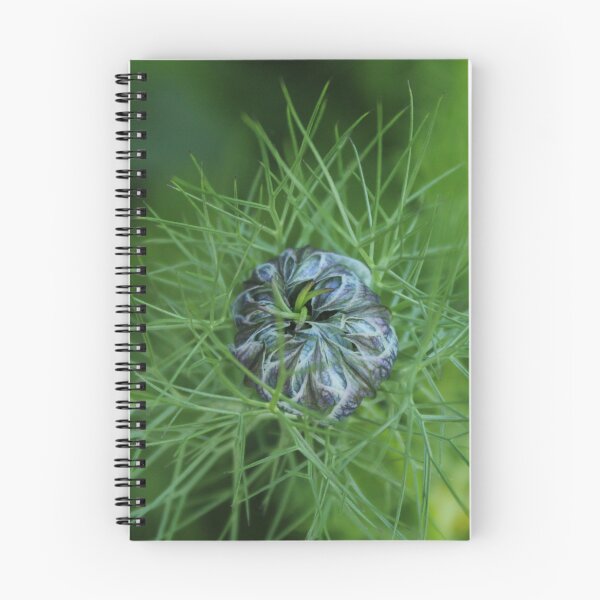 Item preview, Nigella bud before the bloom - Soft nature photography designed and sold by Cha-s-lens.