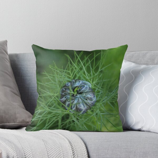Item preview, Nigella bud before the bloom - Soft nature photography designed and sold by Cha-s-lens.