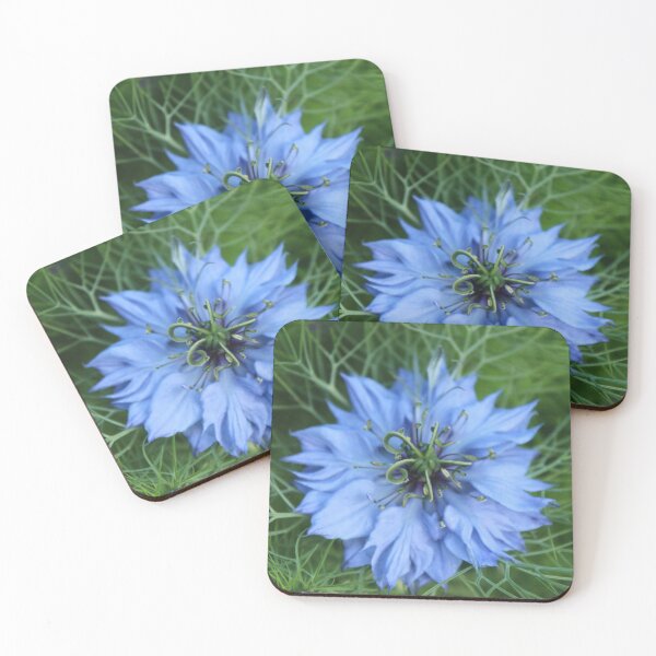 Item preview, Nigella in bloom close up - Soft nature photography designed and sold by Cha-s-lens.