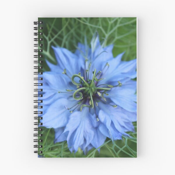 Item preview, Nigella in bloom close up - Soft nature photography designed and sold by Cha-s-lens.