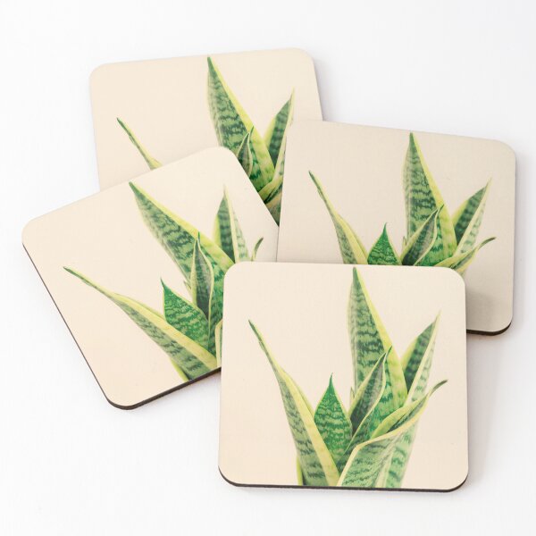 Item preview, Sansevieria #1 designed and sold by Debra Cox.