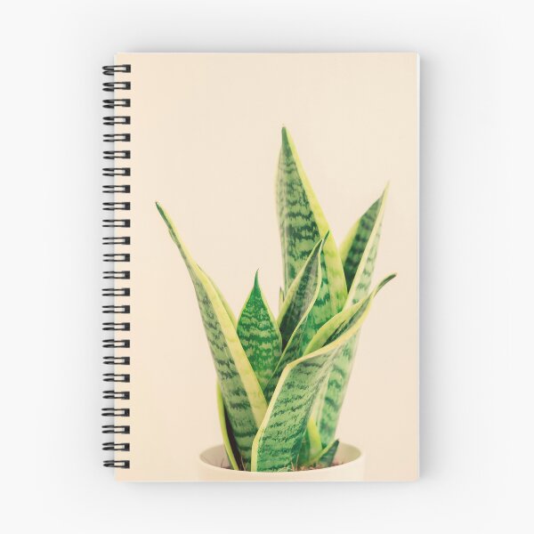 Item preview, Sansevieria #1 designed and sold by Debra Cox.
