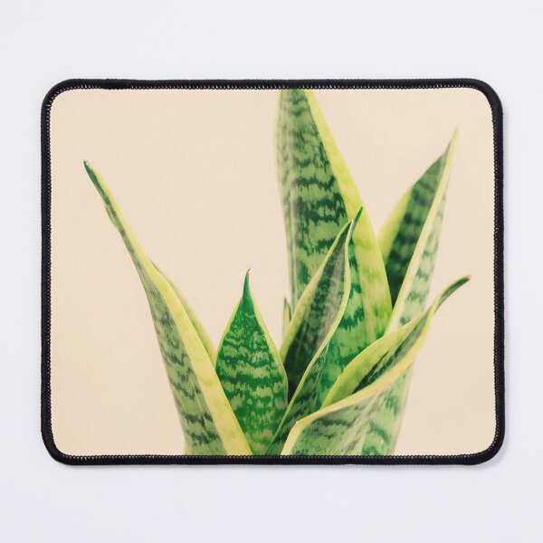 Item preview, Sansevieria #1 designed and sold by Debra Cox.