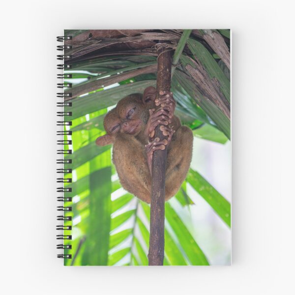 Item preview, Bohol Tarsier - World's Smallest Primate | Cute Philippines Wildlife & Nature Art designed and sold by Ross.A.Campbell.