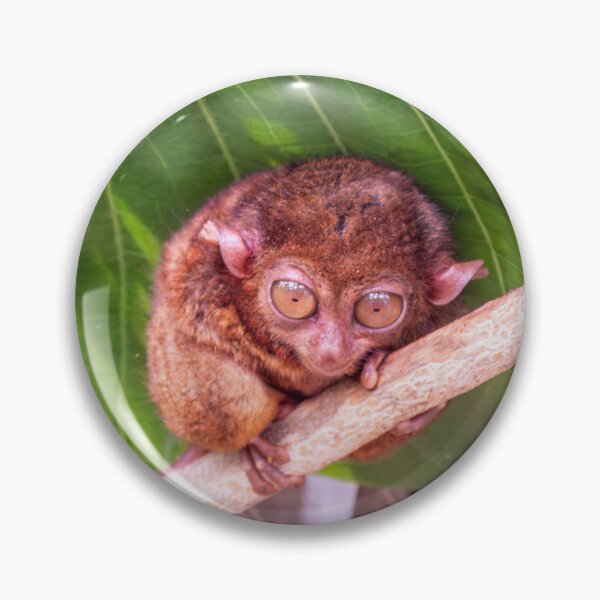 Item preview, Bohol Tarsier - World's Smallest Primate | Cute Philippines Wildlife & Nature Art designed and sold by Ross.A.Campbell.