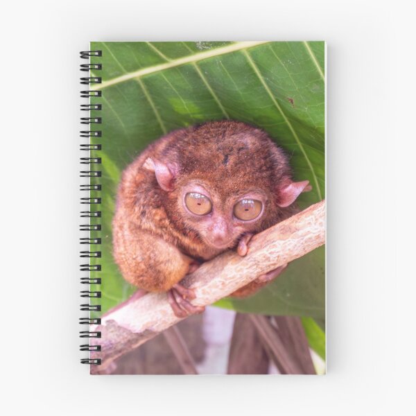 Item preview, Bohol Tarsier - World's Smallest Primate | Cute Philippines Wildlife & Nature Art designed and sold by Ross.A.Campbell.
