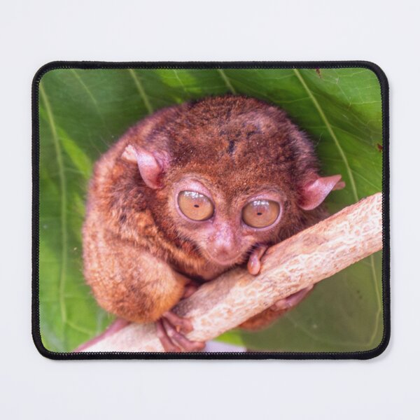 Item preview, Bohol Tarsier - World's Smallest Primate | Cute Philippines Wildlife & Nature Art designed and sold by Ross.A.Campbell.