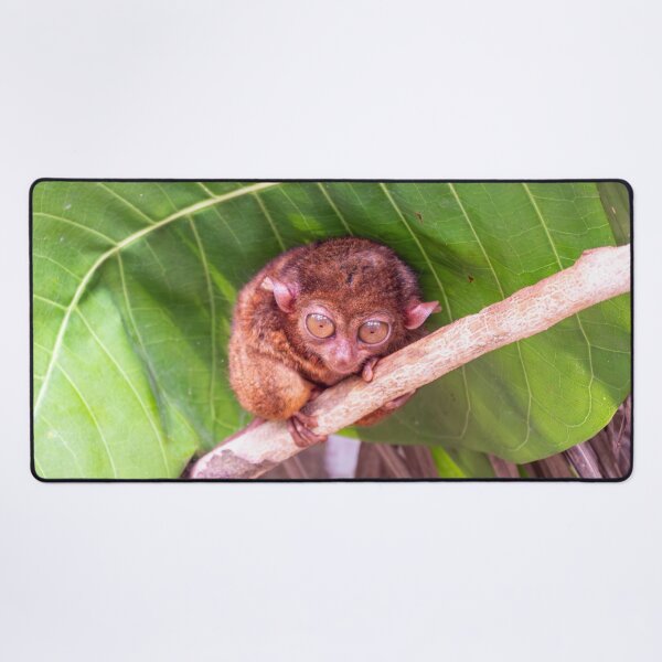 Item preview, Bohol Tarsier - World's Smallest Primate | Cute Philippines Wildlife & Nature Art designed and sold by Ross.A.Campbell.