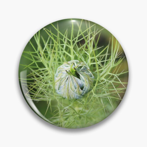 Item preview, Nigella unfolding - Soft nature photography designed and sold by Cha-s-lens.