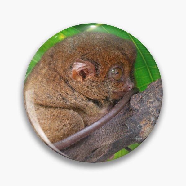 Item preview, Bohol Tarsier - World's Smallest Primate | Cute Philippines Wildlife & Nature Art designed and sold by Ross.A.Campbell.