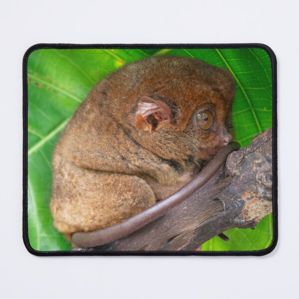 Item preview, Bohol Tarsier - World's Smallest Primate | Cute Philippines Wildlife & Nature Art designed and sold by Ross.A.Campbell.