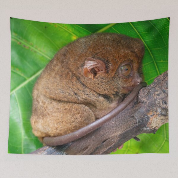 Item preview, Bohol Tarsier - World's Smallest Primate | Cute Philippines Wildlife & Nature Art designed and sold by Ross.A.Campbell.