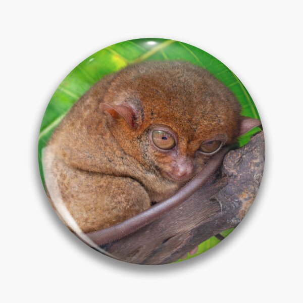 Item preview, Bohol Tarsier - World's Smallest Primate | Cute Philippines Wildlife & Nature Art designed and sold by Ross.A.Campbell.