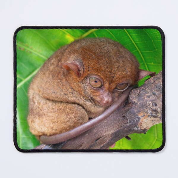 Item preview, Bohol Tarsier - World's Smallest Primate | Cute Philippines Wildlife & Nature Art designed and sold by Ross.A.Campbell.
