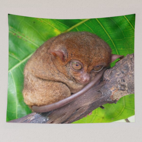 Item preview, Bohol Tarsier - World's Smallest Primate | Cute Philippines Wildlife & Nature Art designed and sold by Ross.A.Campbell.