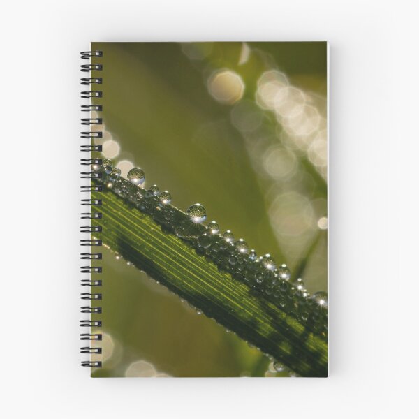 Item preview, Sparkling Dew on Grass - Abstract Macro Fine Art Photography, United Kingdom designed and sold by Johnathan Robinson Photography.