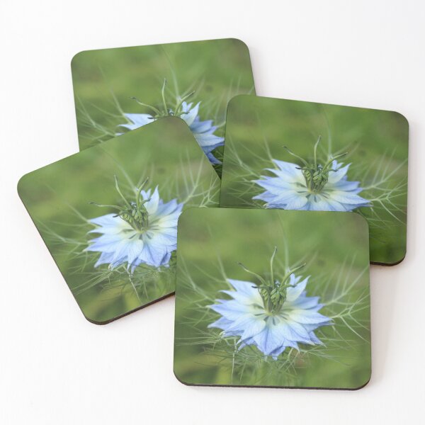 Item preview, Blue becoming, nigella in bloom - Soft nature photography designed and sold by Cha-s-lens.
