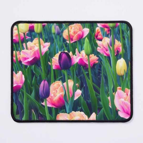 Item preview, Vibrant Tulip Field in Bloom designed and sold by Jessica Jenney.