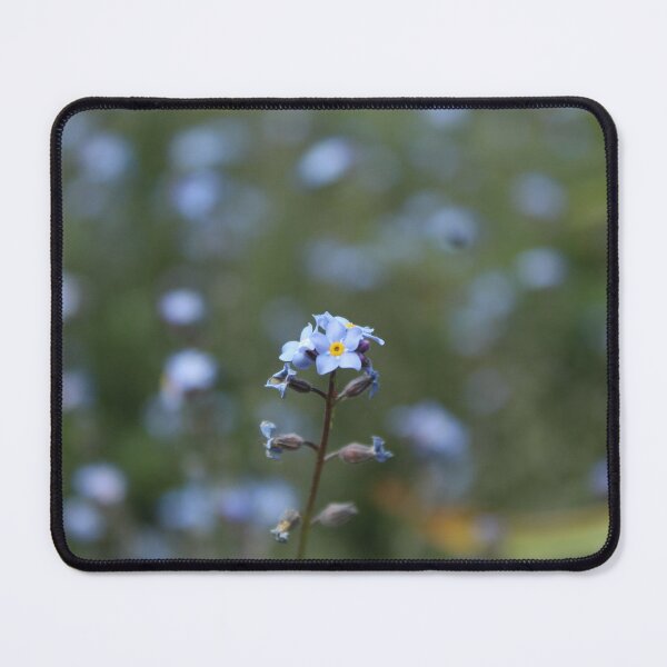 Item preview, Forget me not - Soft nature photography designed and sold by Cha-s-lens.